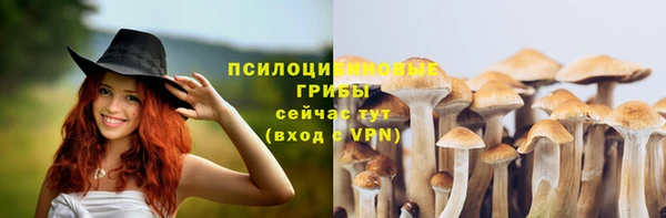не бодяженный Володарск