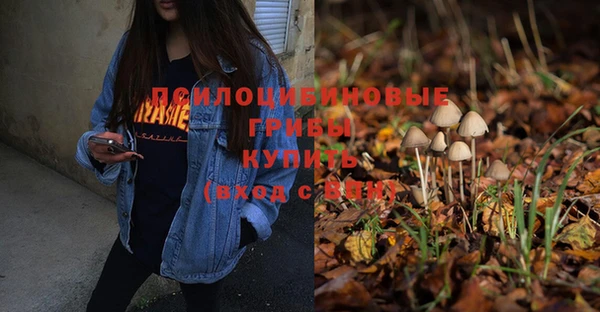 не бодяженный Володарск