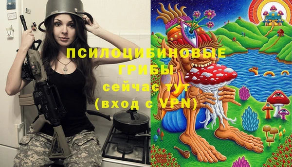 ешки Волоколамск