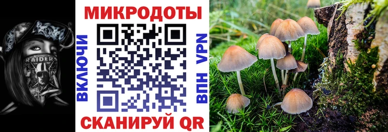 Купить  Кукмор  Галлюциногенные грибы Psilocybe 